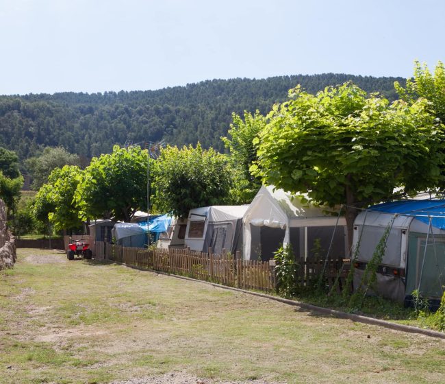 Detal d'una de les parcel·les