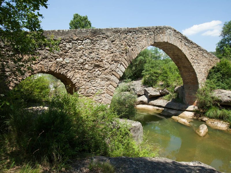 lorem