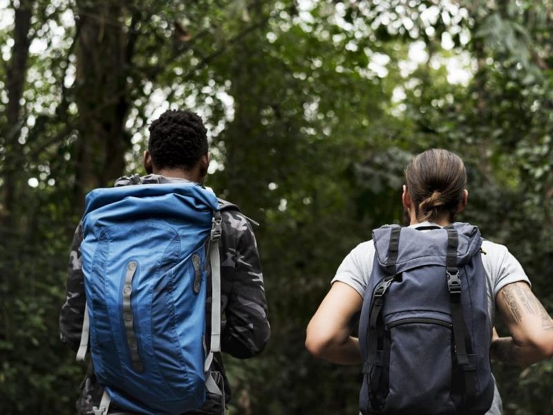 trekking-in-a-forest-PZYZ4BN-oorxg3wr9pjdwtfff0dsm59gt6f35mei6ussvgn5fk